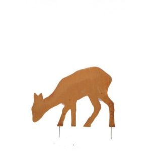 biche tête basse