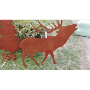 brame du cerf