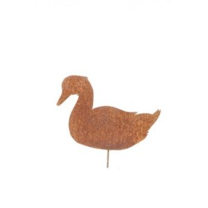 canard