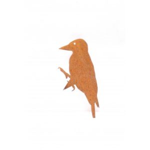 oiseau à piquer