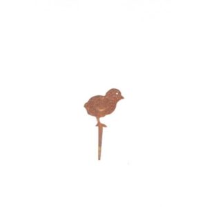 poussin
