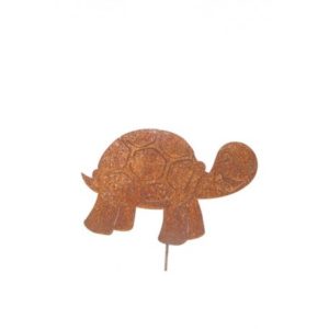 tortue